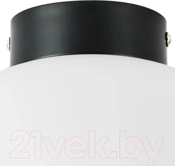 Изображение товара Потолочный светильник Lightstar Globo 812037 (MX8131-1B-L)