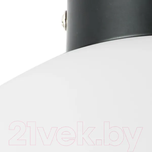 Изображение товара Потолочный светильник Lightstar Globo 812037 (MX8131-1B-L)