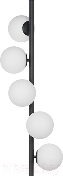 Изображение товара Торшер Lightstar 815757 (SL1508/5)