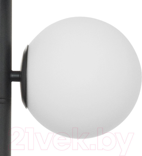 Изображение товара Торшер Lightstar 815757 (SL1508/5)