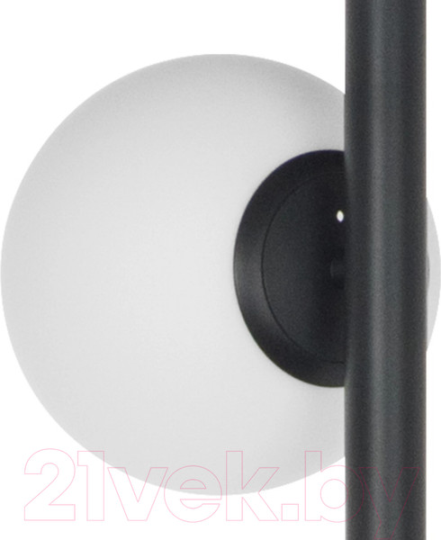 Изображение товара Торшер Lightstar 815757 (SL1508/5)