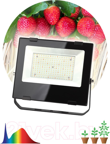 Изображение товара Светильник для растений ЭРА FITO-100W-Ra90-LED / Б0047876