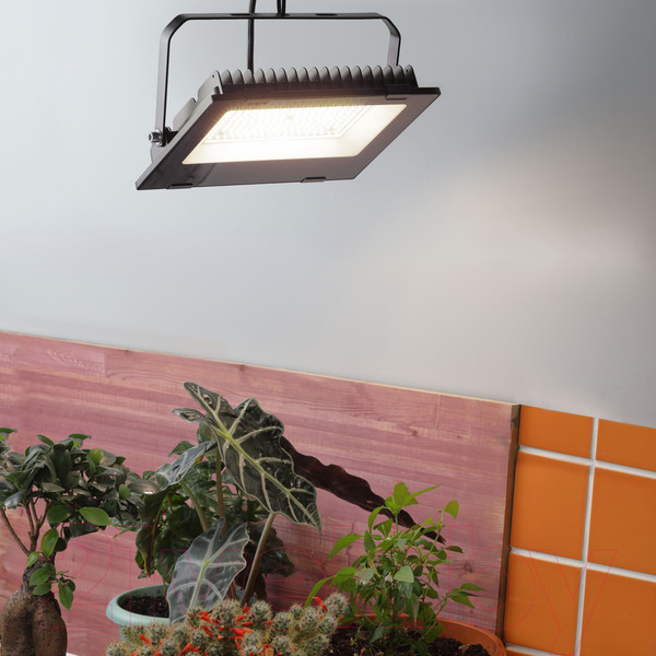 Изображение товара Светильник для растений ЭРА FITO-100W-Ra90-LED / Б0047876