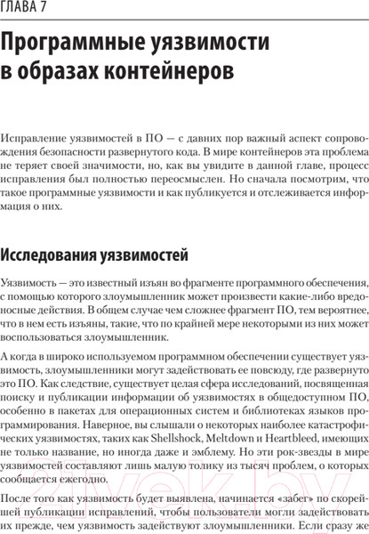 Изображение товара Книга Питер Безопасность контейнеров. Фундаментальный подход к защите (Райс Л.)