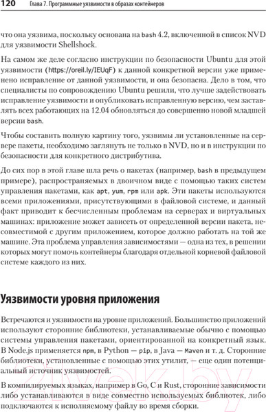 Изображение товара Книга Питер Безопасность контейнеров. Фундаментальный подход к защите (Райс Л.)