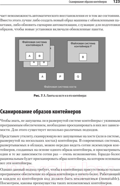 Изображение товара Книга Питер Безопасность контейнеров. Фундаментальный подход к защите (Райс Л.)