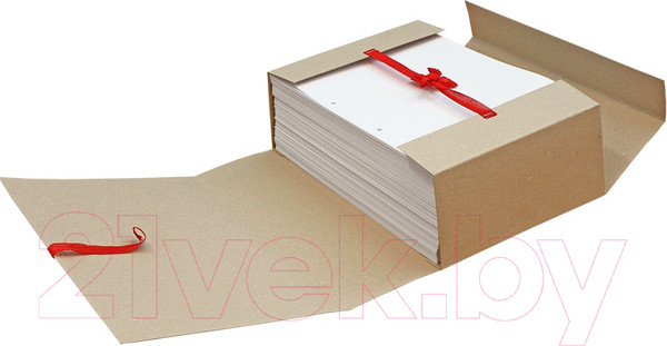 Изображение товара Папка для бумаг Деловые ресурсы ВП039