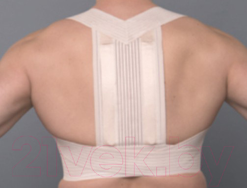 Изображение товара Корректор осанки Prolife Orto ARC161 (XL)