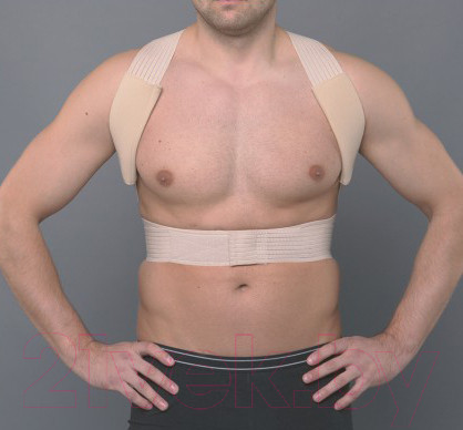 Изображение товара Корректор осанки Prolife Orto ARC161 (XL)