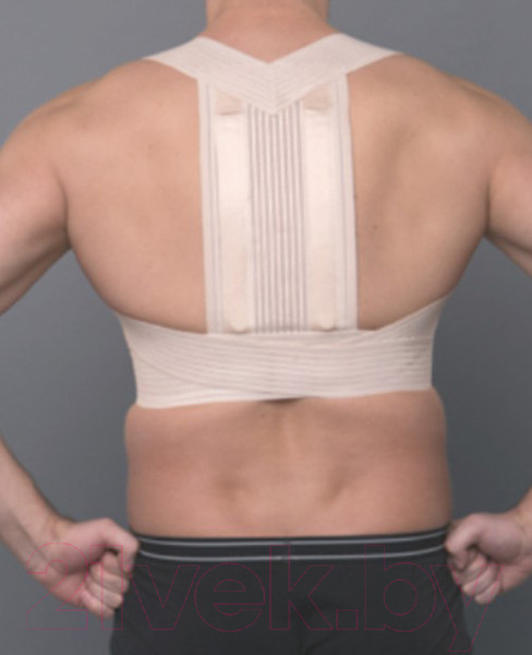 Изображение товара Корректор осанки Prolife Orto ARC161 (XL)