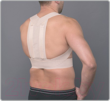 Изображение товара Корректор осанки Prolife Orto ARC161 (XL)