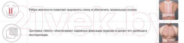 Изображение товара Корректор осанки Prolife Orto ARC161 (XL)