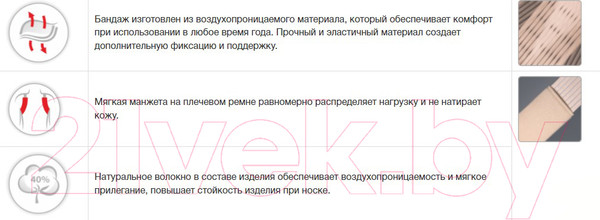 Изображение товара Корректор осанки Prolife Orto ARC161 (XL)