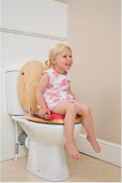 Изображение товара Дорожный горшок Potette Plus 23011DMR (красный/голубой)