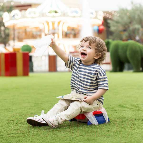 Изображение товара Дорожный горшок Potette Plus 23011DMR (красный/голубой)