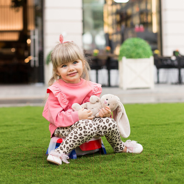 Изображение товара Дорожный горшок Potette Plus 23011DMR (красный/голубой)