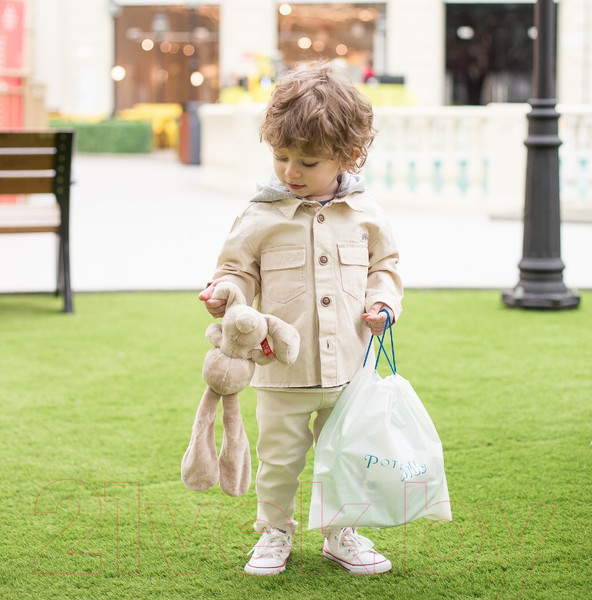 Изображение товара Дорожный горшок Potette Plus 23011M