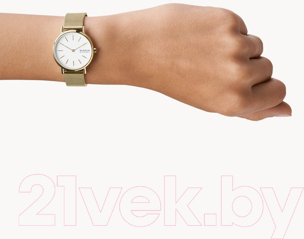 Изображение товара Часы наручные женские Skagen SKW2693