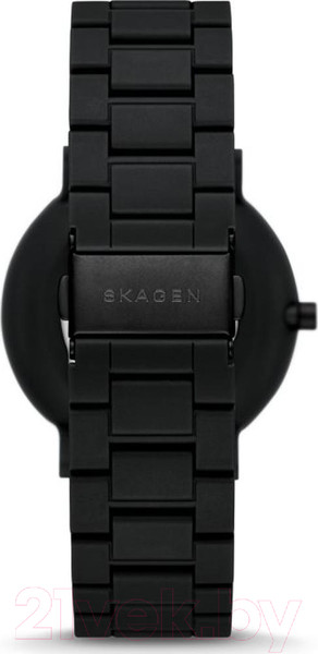 Изображение товара Часы наручные мужские Skagen SKW6769