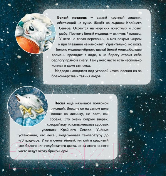 Изображение товара Книга Питер Чудо в Новый год: как Белый Мишка нашел друзей (Григорьева Ж.)