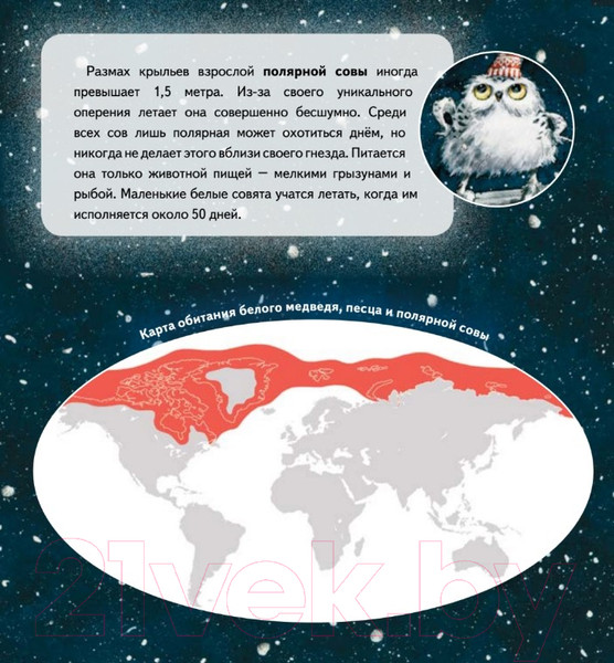 Изображение товара Книга Питер Чудо в Новый год: как Белый Мишка нашел друзей (Григорьева Ж.)