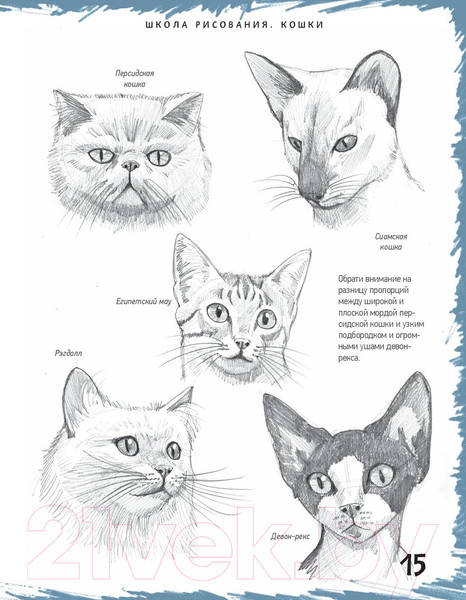 Изображение товара Книга Питер Школа рисования. Кошки (Берджин М.)