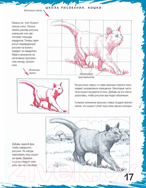 Изображение товара Книга Питер Школа рисования. Кошки (Берджин М.)
