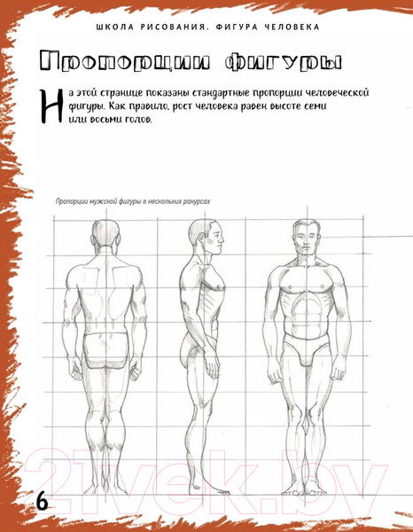 Изображение товара Нехудожественная книга Питер Школа рисования. Фигура человека (Берджин М.)