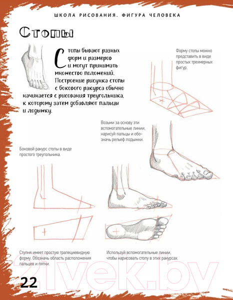 Изображение товара Нехудожественная книга Питер Школа рисования. Фигура человека (Берджин М.)