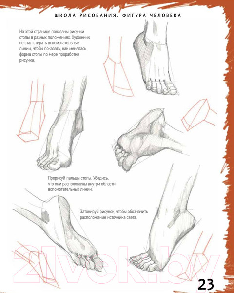 Изображение товара Нехудожественная книга Питер Школа рисования. Фигура человека (Берджин М.)