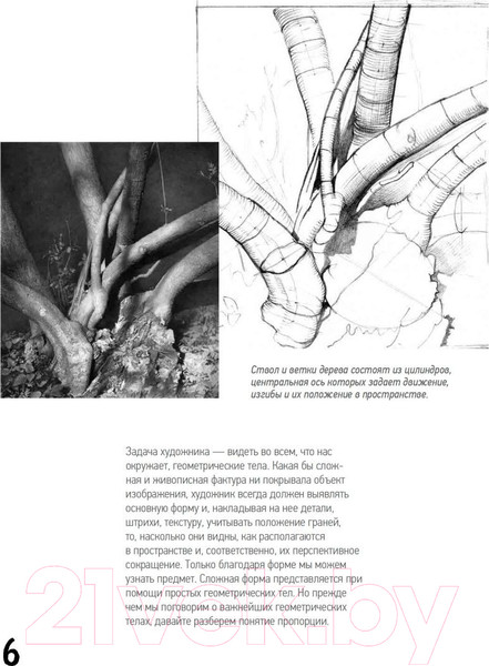 Изображение товара Книга Питер Школа рисования. Форма, объем, пропорции (Чернов Д.В.)