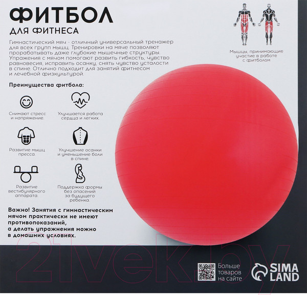 Изображение товара Фитбол гладкий Onlytop Антивзрывной / 3543994 (65см, зеленый)