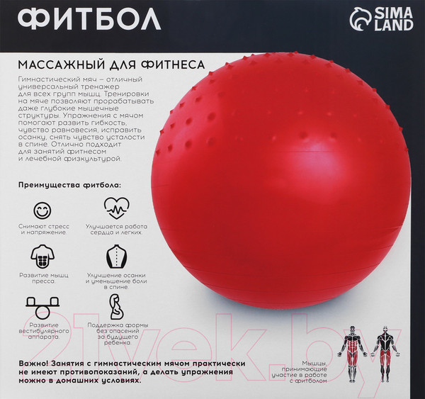 Изображение товара Фитбол гладкий Onlytop Антивзрывной / 3543994 (65см, зеленый)