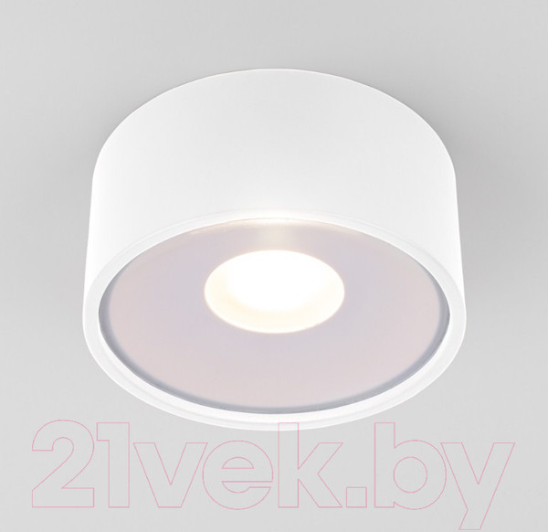 Изображение товара Светильник уличный Elektrostandard Light LED 2135 35141/H (белый)
