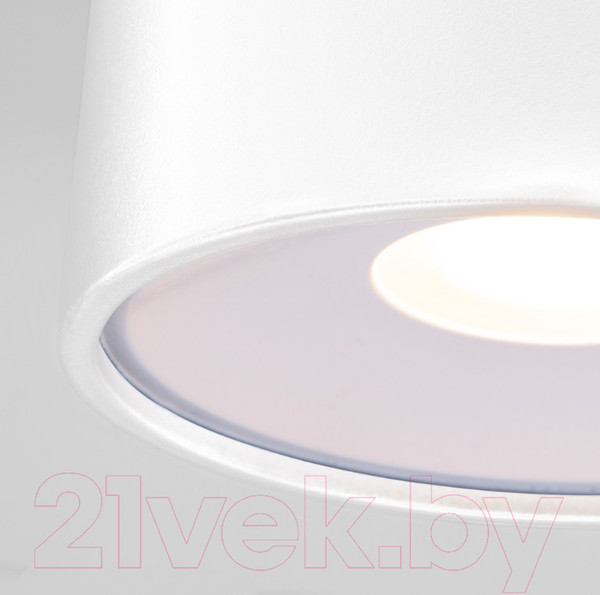 Изображение товара Светильник уличный Elektrostandard Light LED 2135 35141/H (белый)