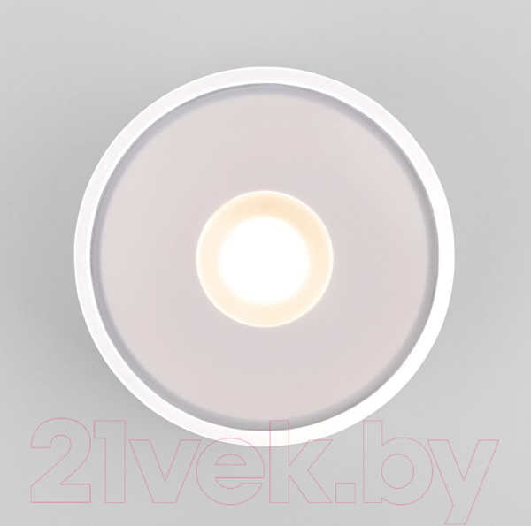 Изображение товара Светильник уличный Elektrostandard Light LED 2135 35141/H (белый)