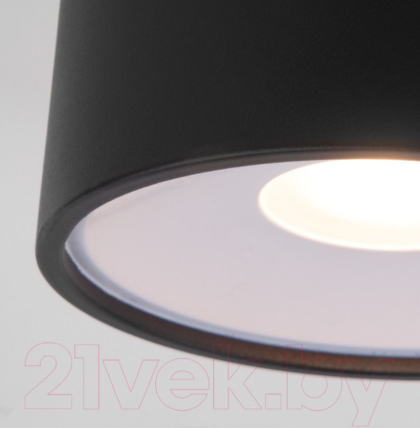 Изображение товара Светильник уличный Elektrostandard Light LED 2135 35141/H (черный)