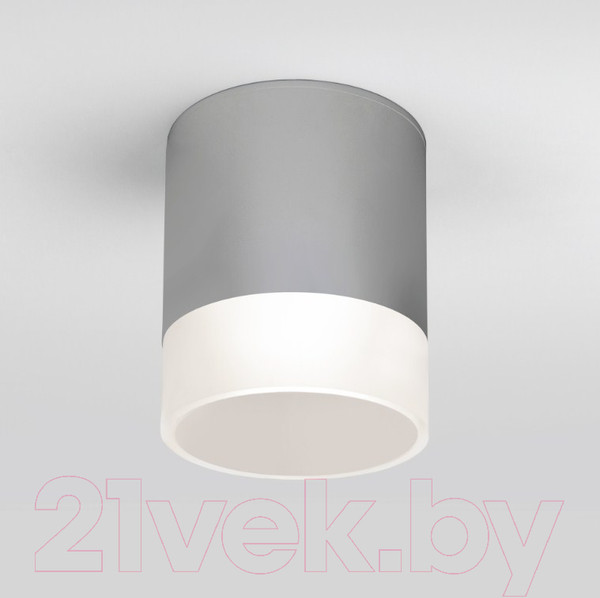 Изображение товара Светильник уличный Elektrostandard Light LED 2107 35140/H (серый)
