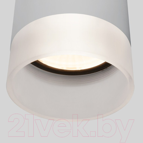 Изображение товара Светильник уличный Elektrostandard Light LED 2107 35140/H (серый)