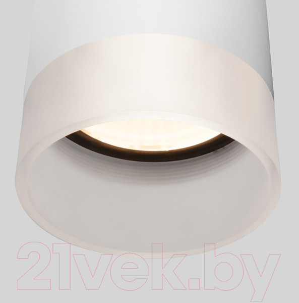 Изображение товара Светильник уличный Elektrostandard Light LED 2107 35140/H (белый)