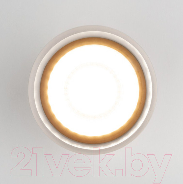 Изображение товара Светильник уличный Elektrostandard Light LED 2107 35140/H (черный)