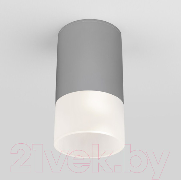 Изображение товара Светильник уличный Elektrostandard Light 2106 35139/H (серый)