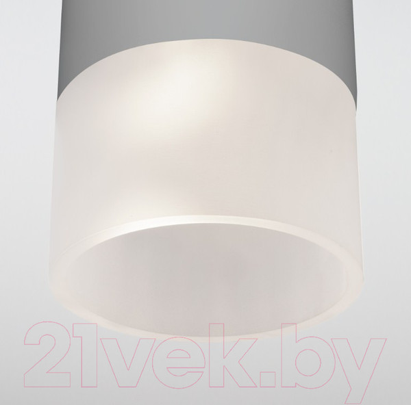 Изображение товара Светильник уличный Elektrostandard Light 2106 35139/H (серый)
