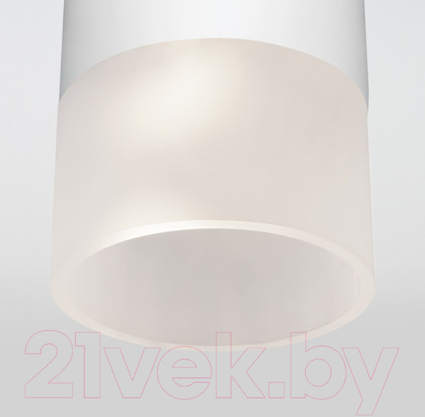 Изображение товара Светильник уличный Elektrostandard Light 2106 35139/H (белый)