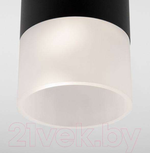 Изображение товара Светильник уличный Elektrostandard Light 2106 35139/H (черный)
