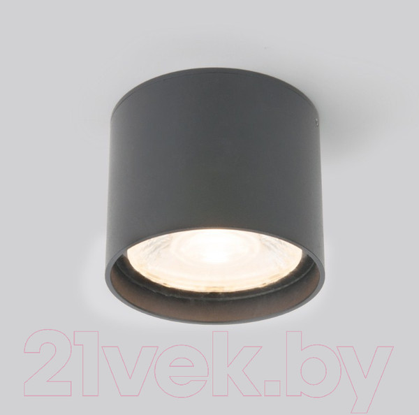 Изображение товара Светильник уличный Elektrostandard Light LED 2105 35132/H (серый)