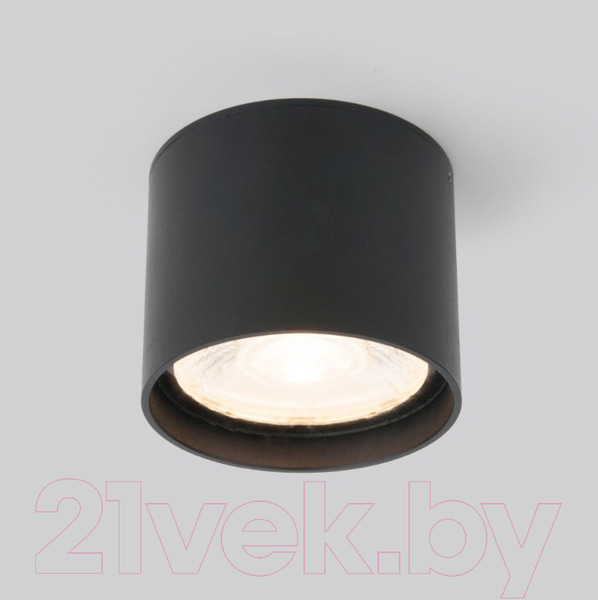 Изображение товара Светильник уличный Elektrostandard Light LED 2105 35132/H (черный)
