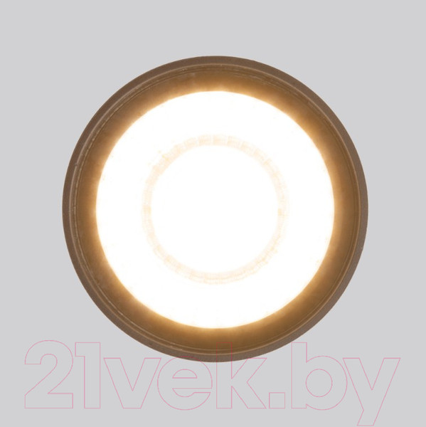 Изображение товара Светильник уличный Elektrostandard Light LED 2105 35132/H (черный)