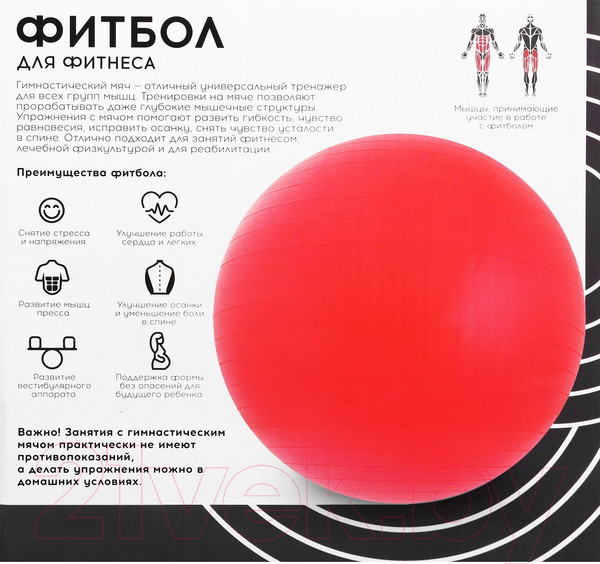 Изображение товара Фитбол гладкий Onlytop Антивзрывной / 3543999 (65см, черный)