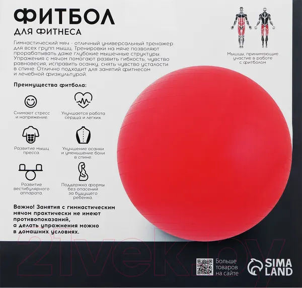 Изображение товара Фитбол гладкий Onlytop Антивзрывной / 3544002 (75см, розовый)